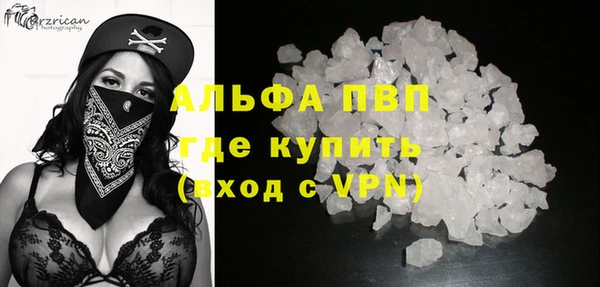 твердый Гусев