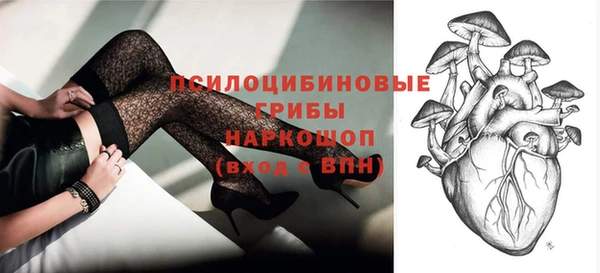 хмурый Дмитриев