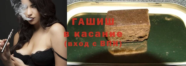 твердый Гусев