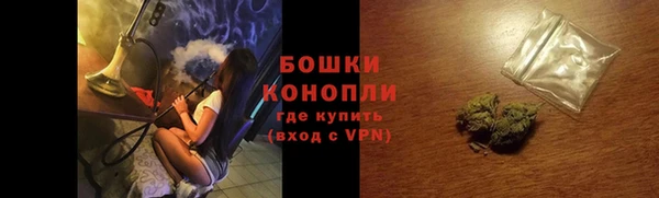 ПСИЛОЦИБИНОВЫЕ ГРИБЫ Гусиноозёрск