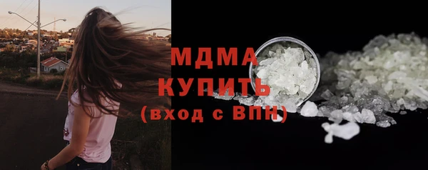 твердый Гусев