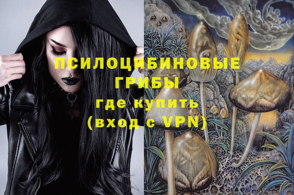 хмурый Дмитриев