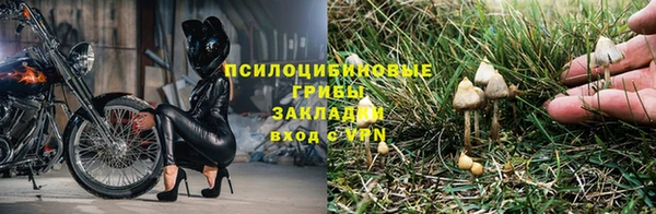 хмурый Дмитриев
