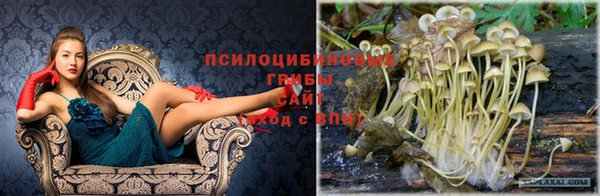 тгк Гусь-Хрустальный