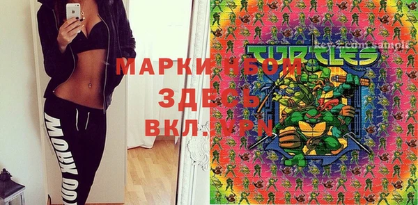 твердый Гусев