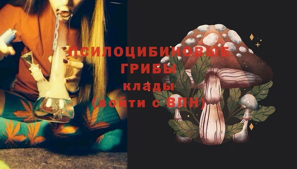 твердый Гусев
