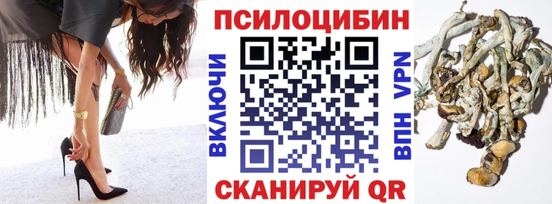 Псилоцибиновые грибы Cubensis  купить наркотики цена  Рубцовск 